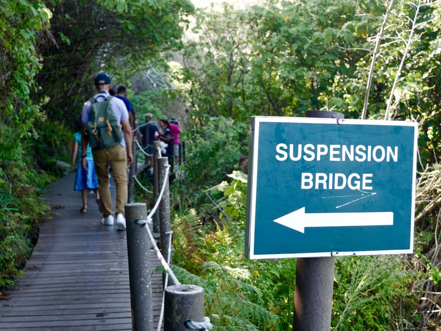 From Cape Town: 5-Day Best of Garden Route and Addo Safari - Day two: Cango Caves and traditional South African treats