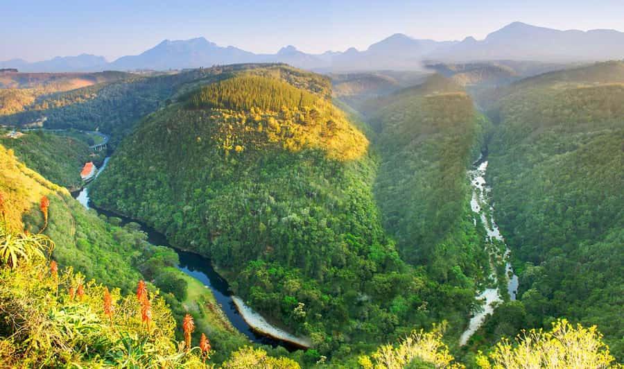 From Cape Town: 5-Day Best of Garden Route and Addo Safari - Day four: Tsitsikamma, Bloukrans, and Knysna Lagoon