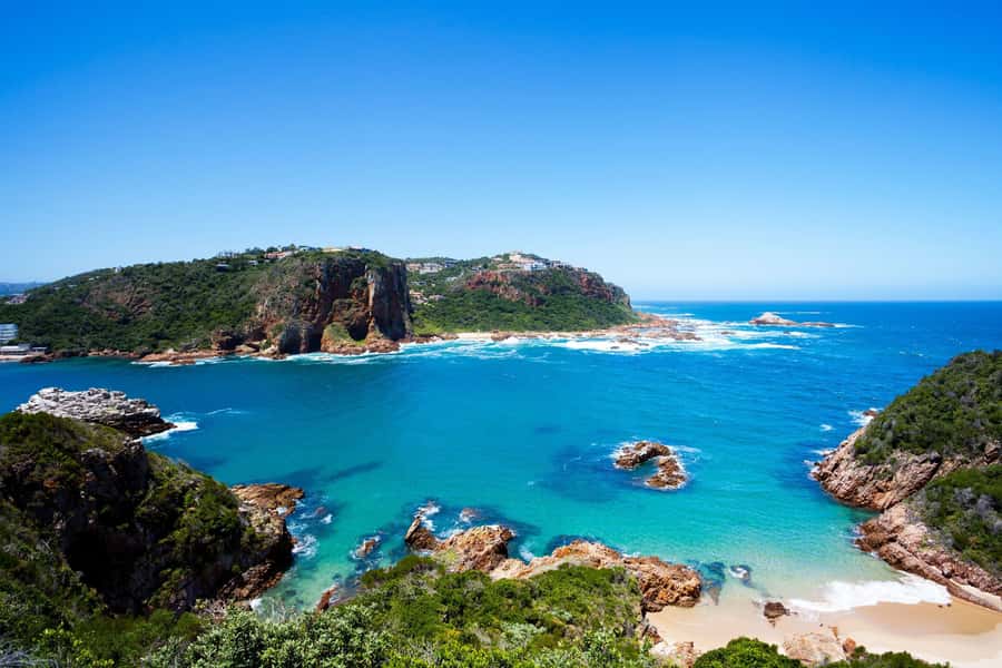 From Cape Town: 5-Day Best of Garden Route and Addo Safari - Wildlife expectations and safari reality