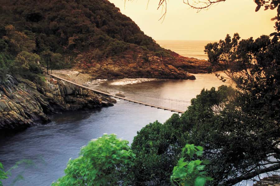 From Cape Town: 5-Day Best of Garden Route and Addo Safari - Day one: Route 62 and the road to Oudtshoorn