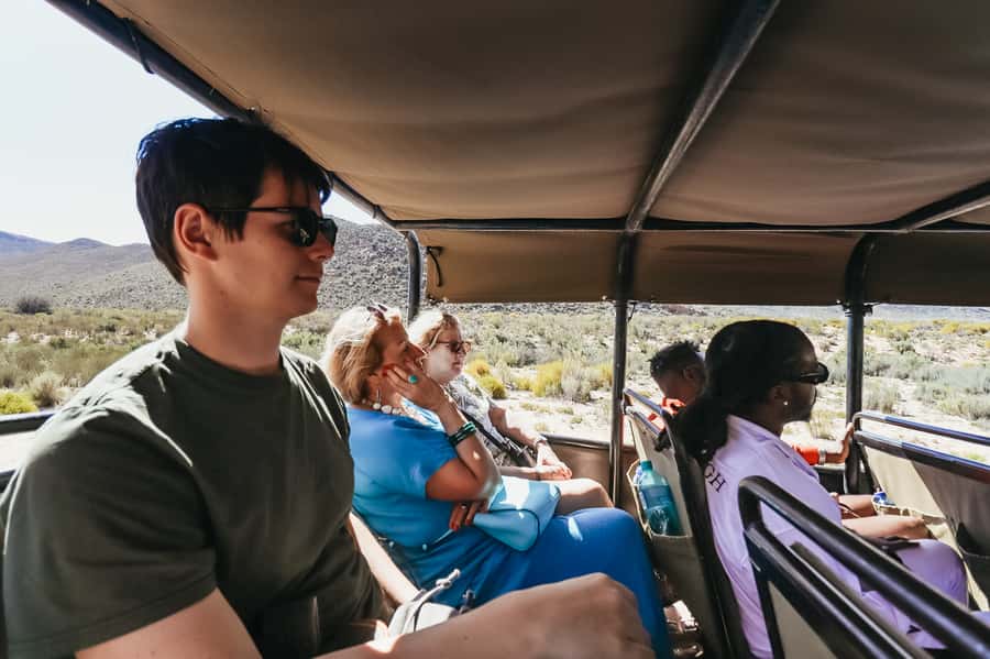 From Cape Town: Big Five Game Reserve with Lunch - The buffet lunch gives the day a proper break