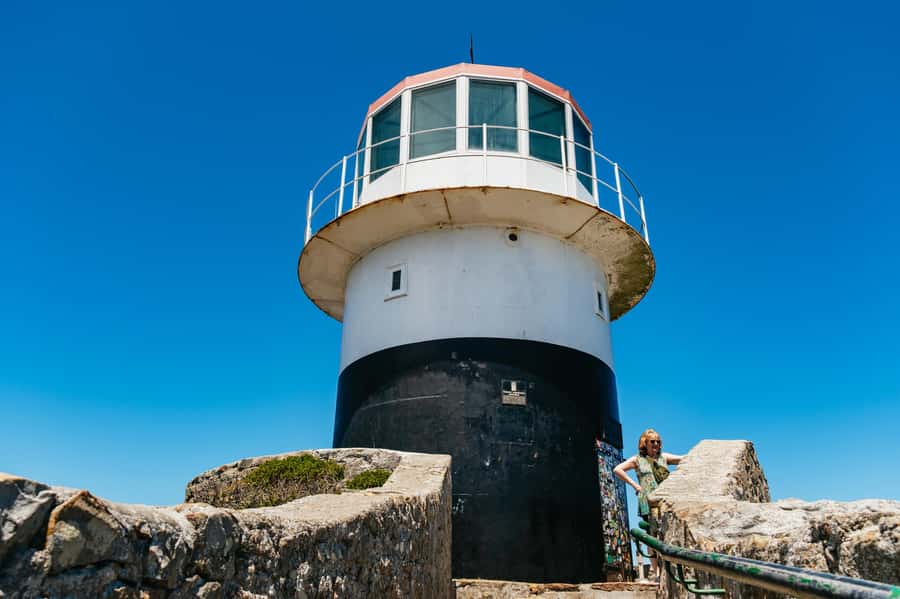 From Cape Town: Cape Peninsula & Boulders Penguin Beach Tour - Why this Cape Peninsula day works so well