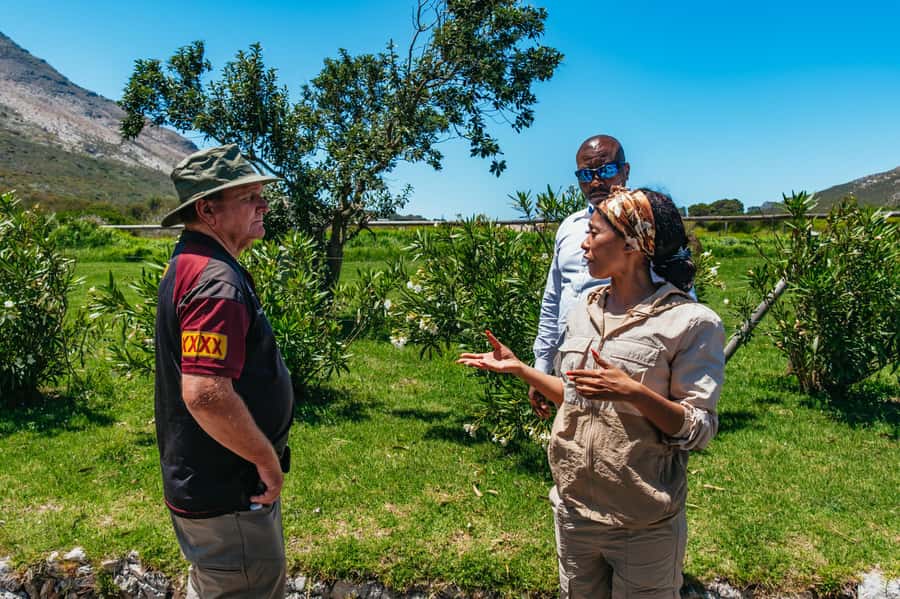 From Cape Town: Cape Peninsula & Boulders Penguin Beach Tour - Noordhoek Farm Village is the sensible coffee break
