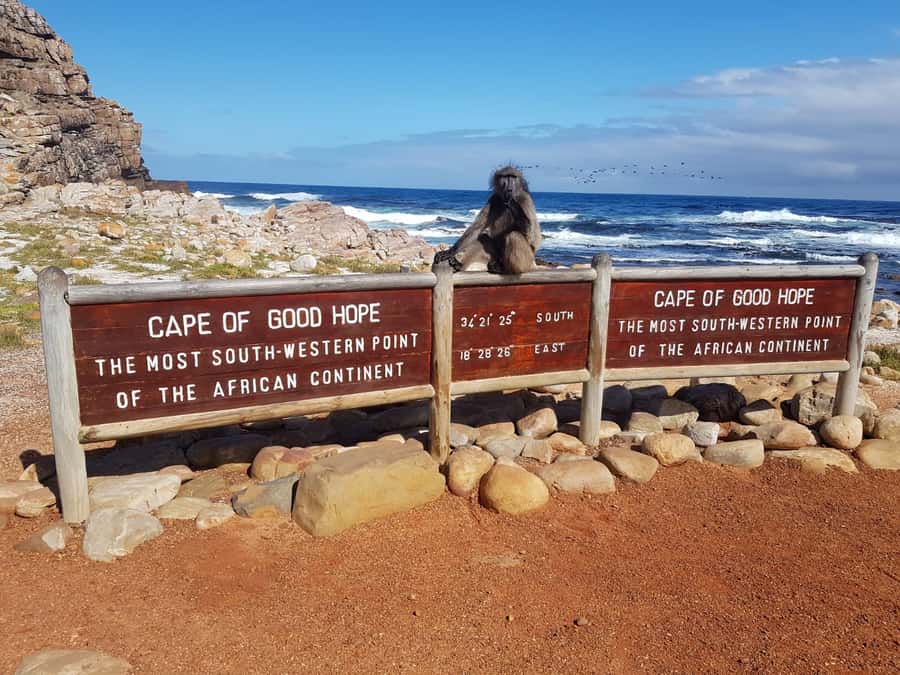 From Cape Town: Cape Point and Boulders Beach Full-Day Tour - Price, extra fees, and real value