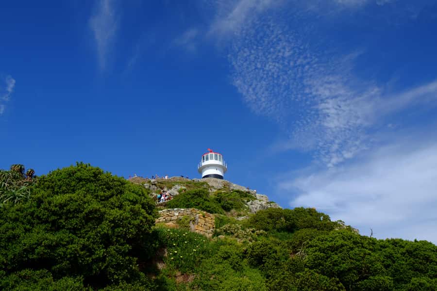 From Cape Town: Cape Point and Boulders Beach Half-Day Tour - Chapman’s Peak Drive delivers the road-view moment
