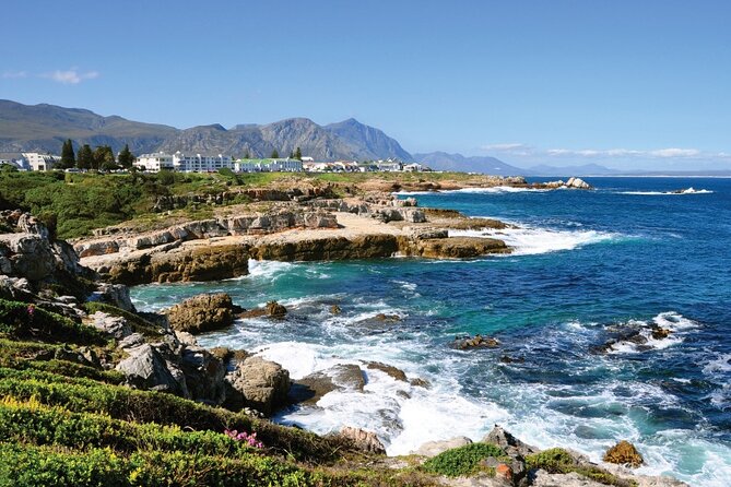 From Cape Town: Full Day Guided Hermanus and Whale Tour - Wine Village and the Hemel-en-Aarde connection
