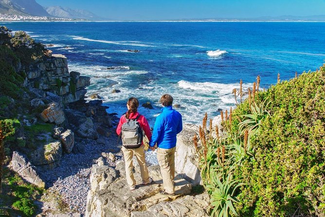 From Cape Town: Full Day Guided Hermanus and Whale Tour - Rotary Way for the big Hermanus view