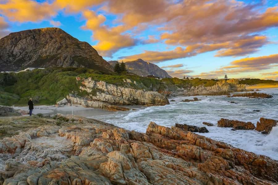 From Cape Town: Full-Day Hermanus Whale Watching Tour - Is $120 a fair price?