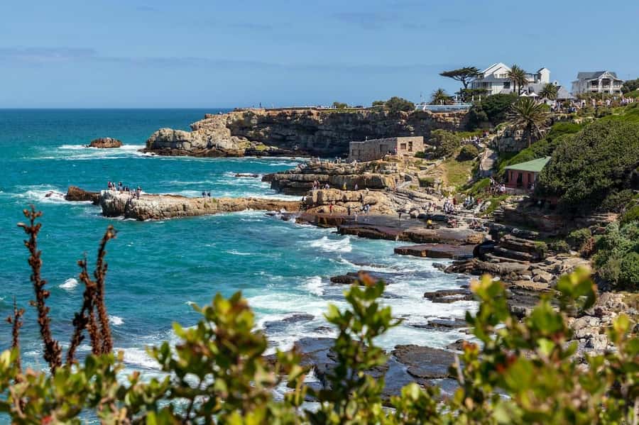 From Cape Town: Full-Day Hermanus Whale Watching Tour - A small vehicle makes a long day easier