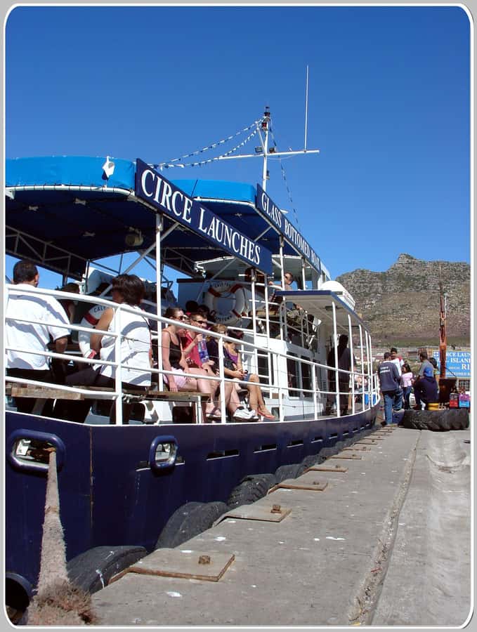 From Cape Town: Glass-Bottom Boat Seal Watching Tour - Practical advice for getting the most from the trip