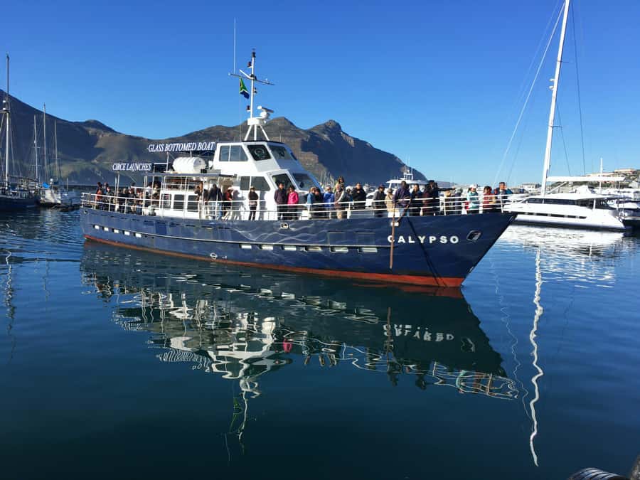 From Cape Town: Glass-Bottom Boat Seal Watching Tour - Passing Hout Bay’s old fortifications