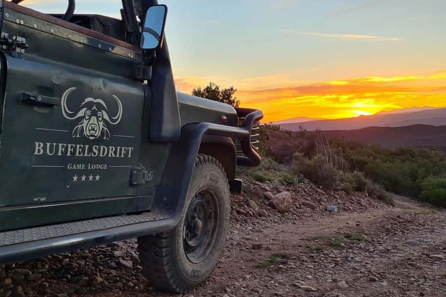 From Cape Town: South African Wildlife and Safari 2-Day Tour - Key points to know before booking