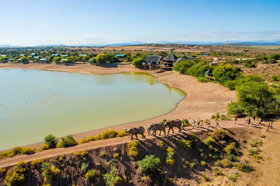 From Cape Town: South African Wildlife and Safari 2-Day Tour - Buffelsdrift and the slower morning search