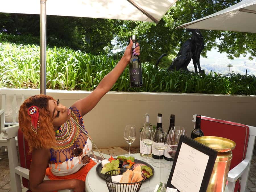 From Cape Town: Stellenbosch & Franschhoek Wine Tasting Tour - Tokara focuses on views and classic varieties