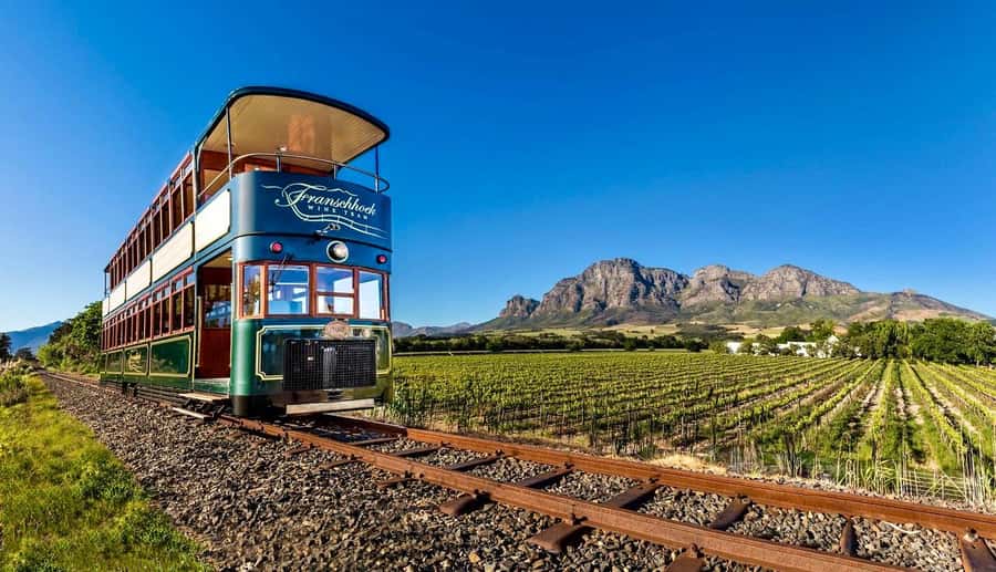 From Cape Town: Winelands Full Day Tour and Wine Tasting - Why this Cape Winelands day works well