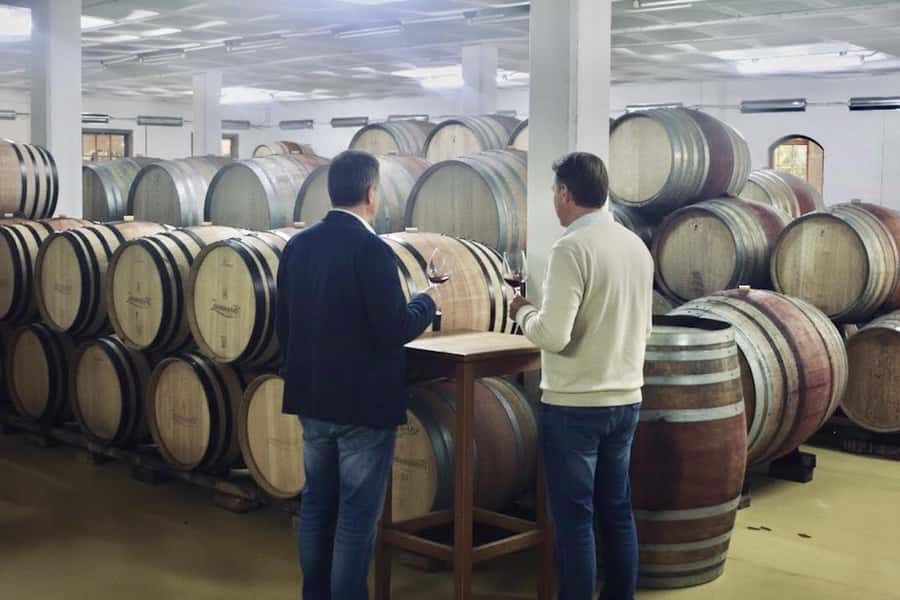 From Cape Town: Winelands Full Day Tour and Wine Tasting - Three estates, three different tasting styles