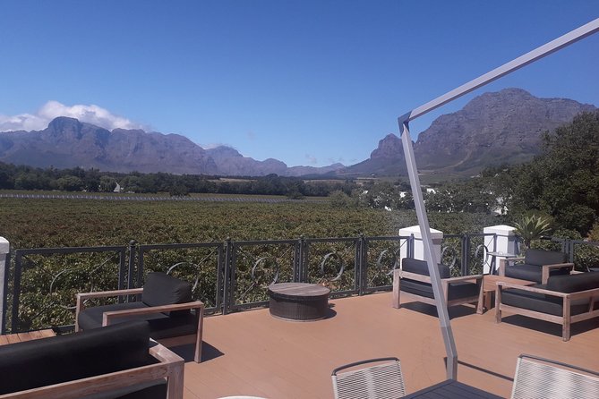 From CapeTown: Stellenbosch Half Day Wine Tour - Who should book this experience