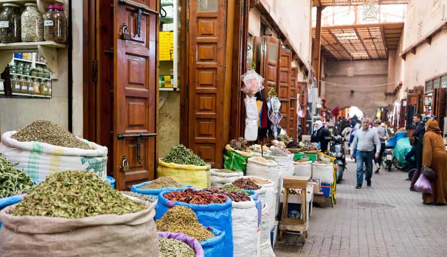 From Casablanca: Marrakech Guided Day Trip with Camel Ride - Bahia Palace and the extra 12 euro ticket