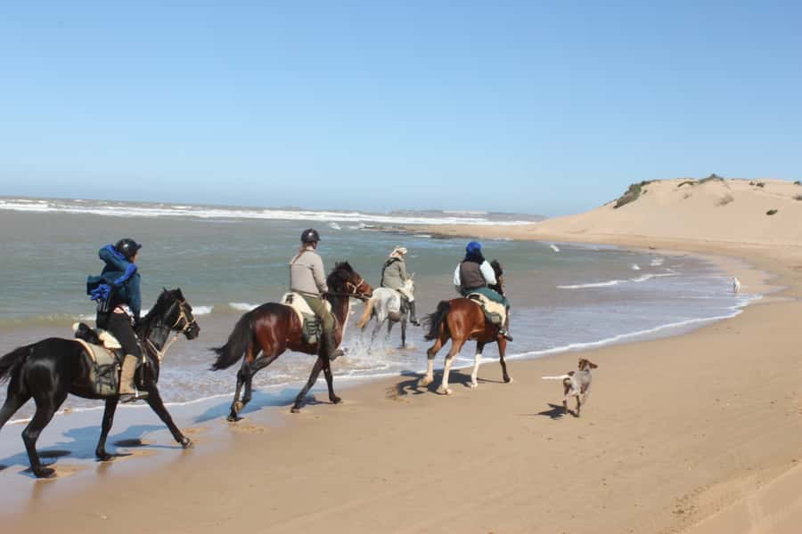 From Essaouira: 1-Hour Horse Ride - What makes this ride worth considering
