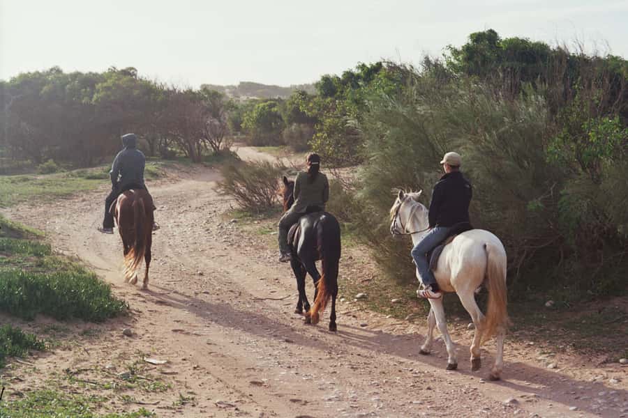 From Essaouira: 1-Hour Horse Ride - A short briefing for first-time riders