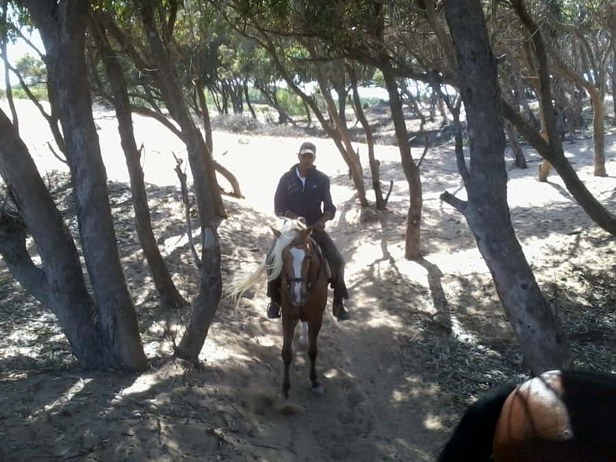 From Essaouira: 1-Hour Horse Ride - Mogador Island from horseback