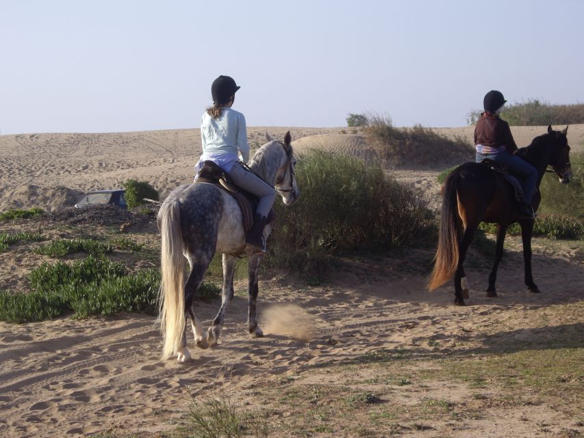 From Essaouira: 1-Hour Horse Ride - Price, group size, and overall value