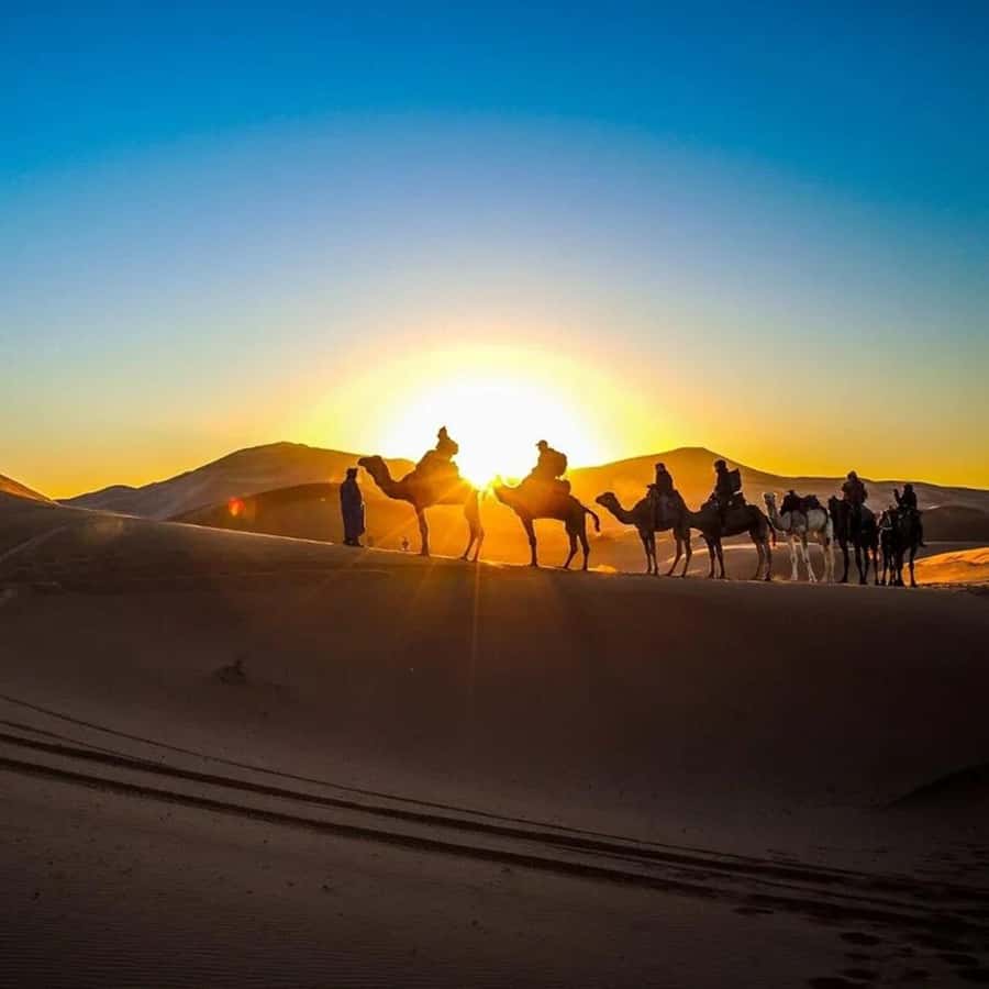 From Fes: 2-Day Luxury Desert Tour to Marrakech & Back Fez - The long road from Fes to the Middle Atlas