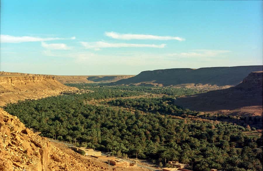 From Fes: 2-Day Luxury Desert Tour to Marrakech & Back Fez - Midelt lunch and the shift toward the desert