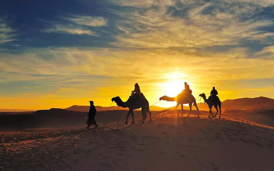 From Fes: 2-Day Luxury Desert Tour to Marrakech & Back Fez - The second day: back to Fes or onward to Marrakech