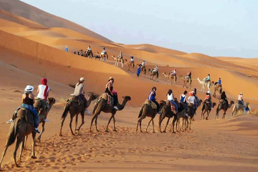 From Fes: 2-Day Luxury Desert Tour to Marrakech & Back Fez - Is $112 good value?