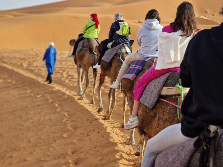 From Fes: 2-Day Luxury Desert Tour to Marrakech & Back Fez - What the driver can make or break