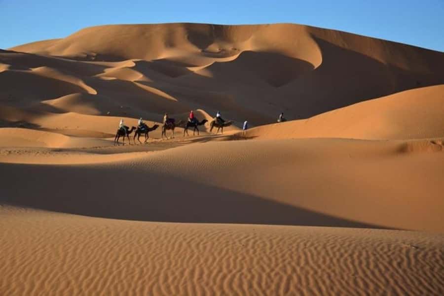 From Fes: 2-Day Luxury Desert Tour to Marrakech & Back Fez - Should you book it?