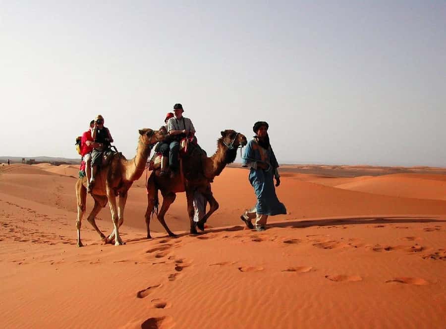 From Fes: 2-Day Luxury Desert Tour to Marrakech & Back Fez - First sight of Erg Chebbi and the camel ride