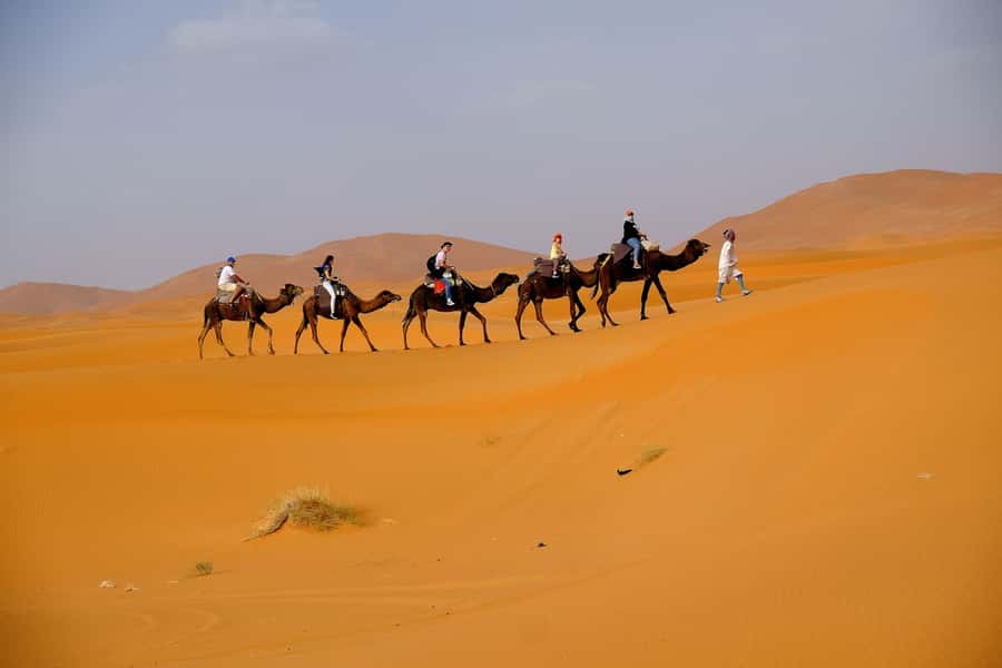 From Fes: 2-Day Merzouga Desert Trip w/Luxury Tent & Dinner - Cold nights, wind, and what the tent is really like