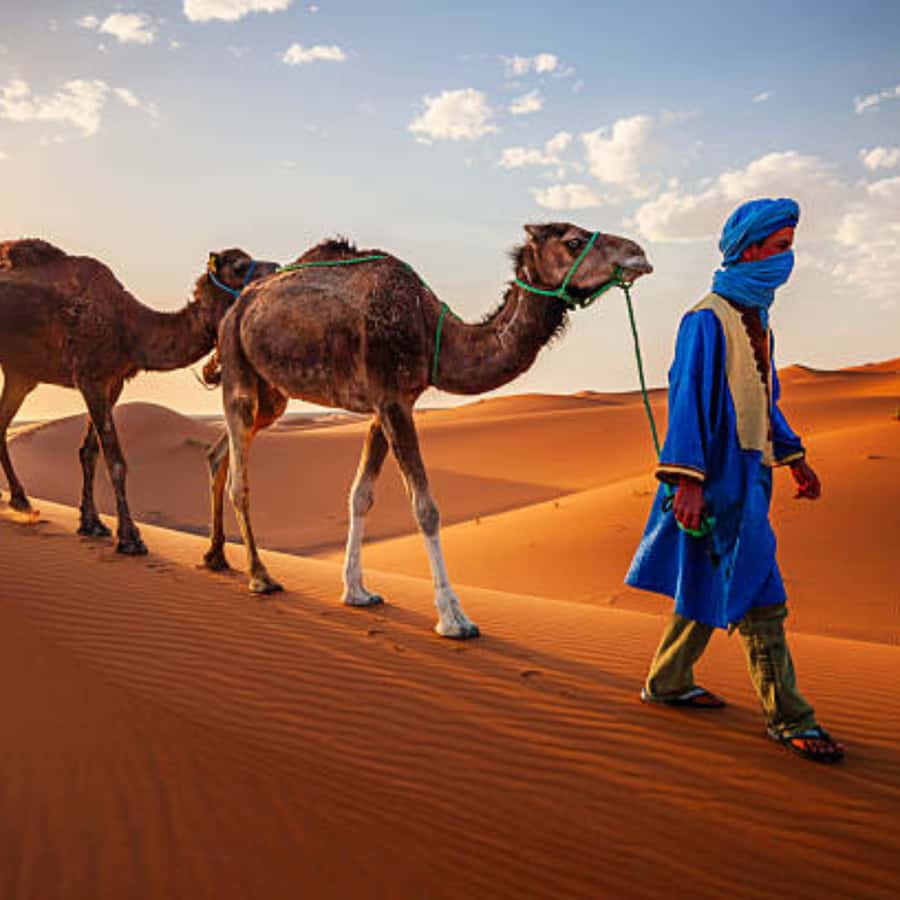 From Fes: 2 Day Round Trip Via Merzouga Desert & Camel Trek - Key points to know before you book