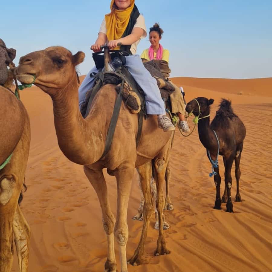 From Fes: 2 Day Round Trip Via Merzouga Desert & Camel Trek - Day one begins with Ifrane and the Middle Atlas