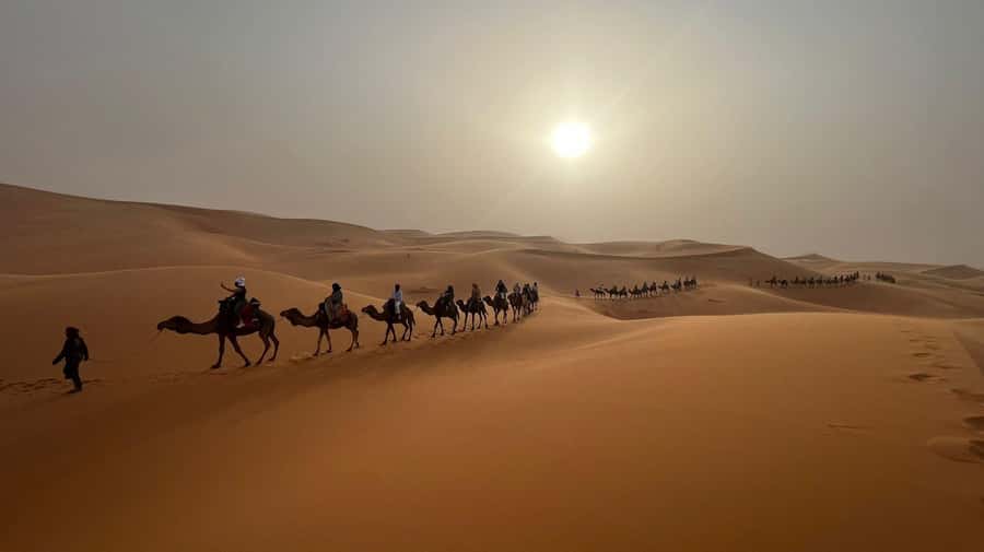 From Fes to Marrakech: 3-Day Sahara Desert Discovery Tour - FAQ