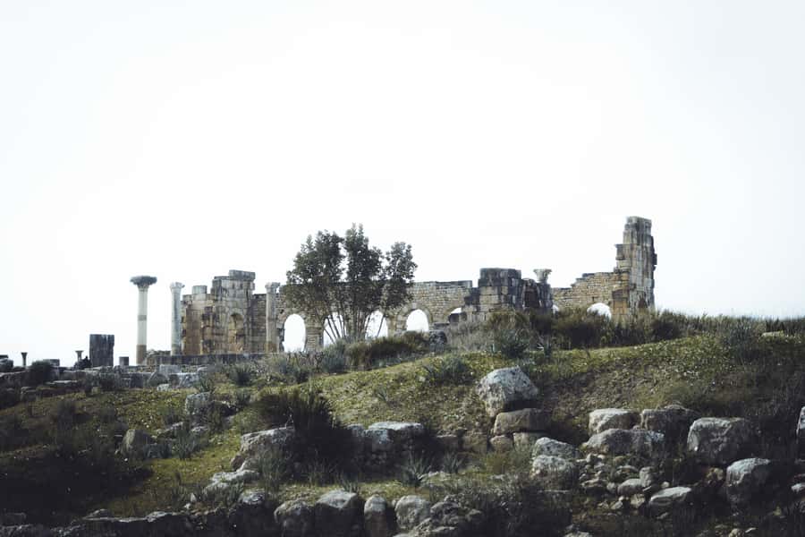 From Fes: Volubilis, Moulay Idriss and Meknes Full-Day Trip - Why this day trip works from Fes