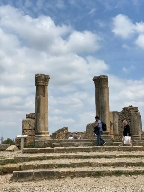 From Fes: Volubilis, Moulay Idriss, & Meknes Full-Day Trip - Should you book it?