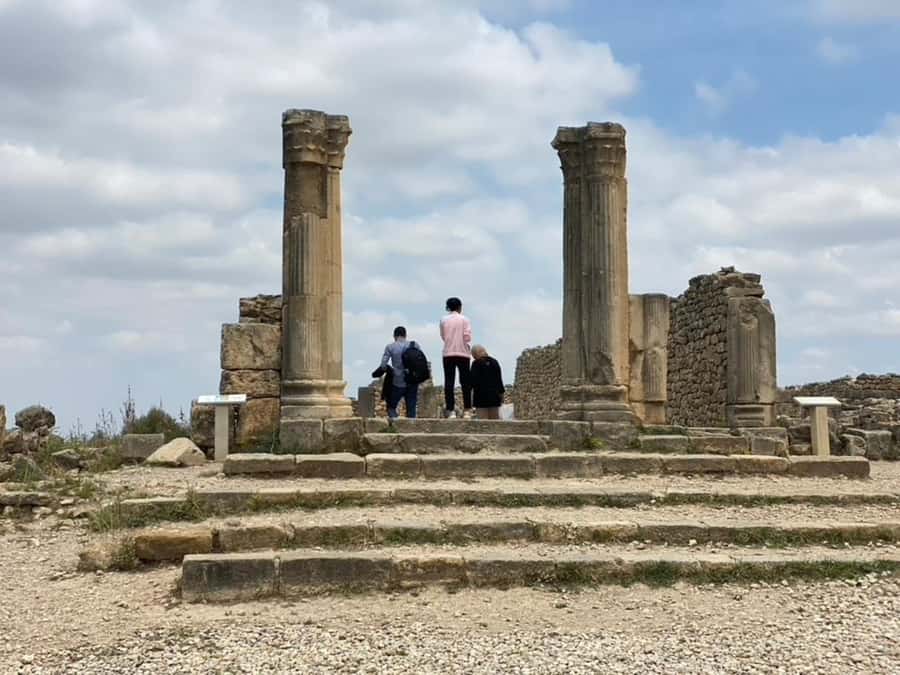 From Fes: Volubilis, Moulay Idriss, & Meknes Full-Day Trip - Moulay Idriss Zerhoun, Morocco’s sacred hill town