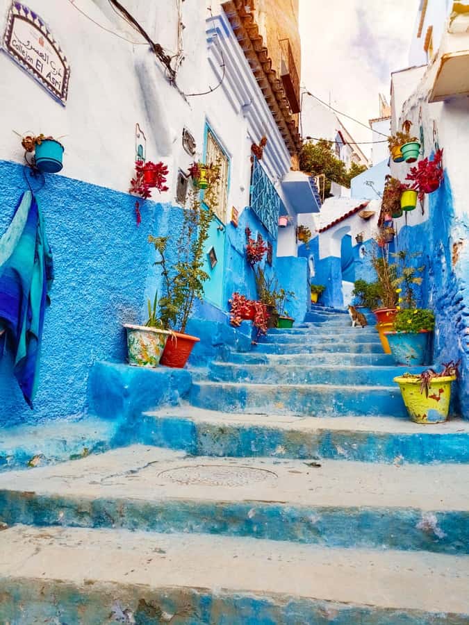 From Fez : Memorable Day Trip to Chefchaouen the Blue City - Is a 12-hour trip from Fez worth it?