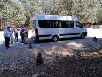 Middle Atlas Day Trip with Ifrane National Park