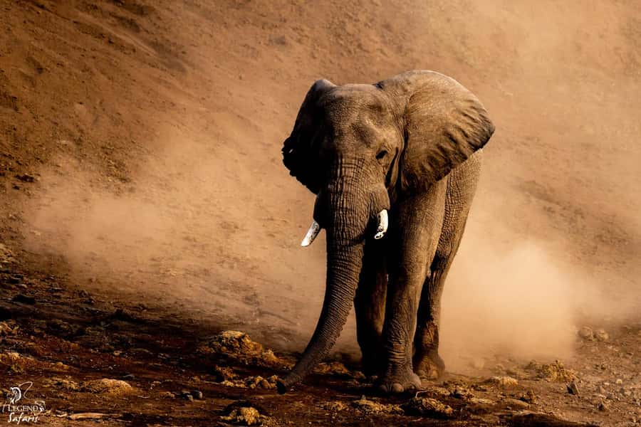 From Hazyview: Kruger National Park Full-Day Safari - Why the pre-dawn start matters