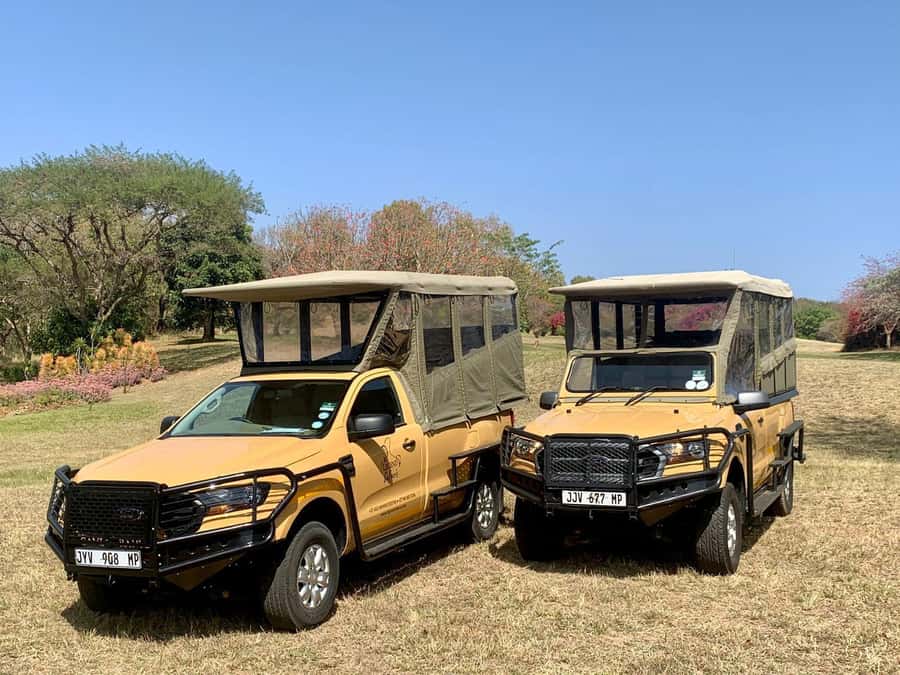 From Hazyview: Kruger National Park Full-Day Safari - The guide can make or break the day