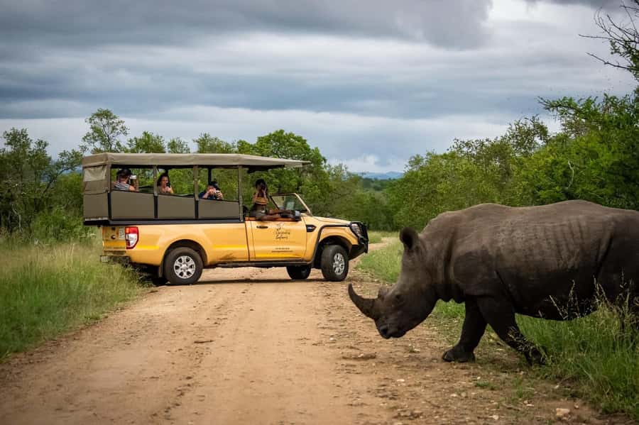 From Hazyview: Kruger National Park Full-Day Safari - Entering Kruger through Phabeni Gate