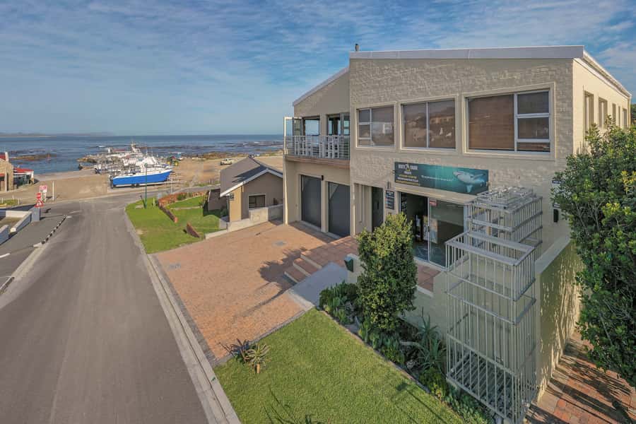 From Hermanus or Cape Town: Shark Cage Diving Experience - Breakfast, briefing, and getting ready