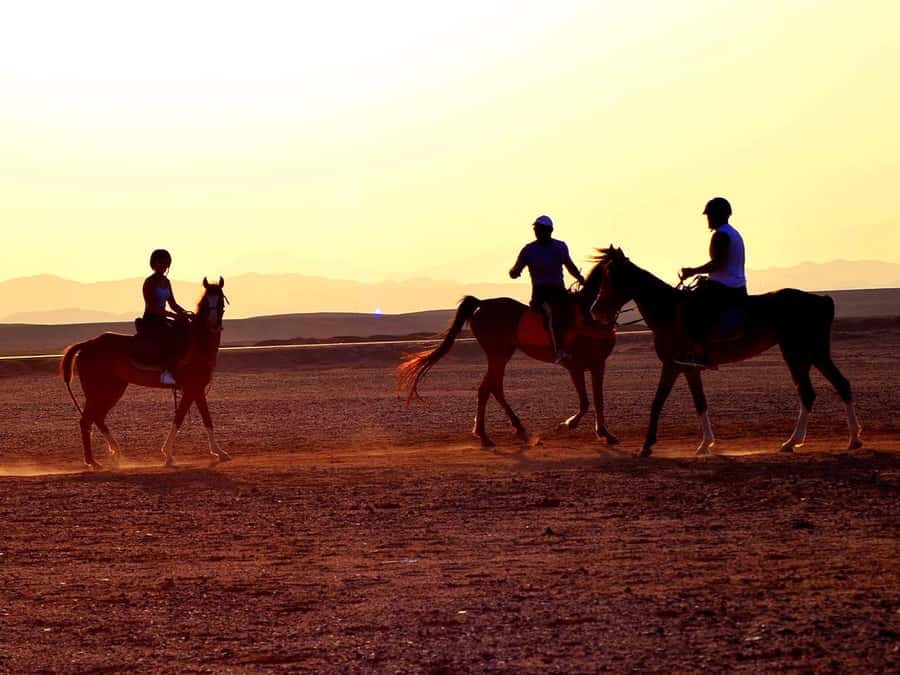 From Hurghada: Makadi Bay Horse Riding Tour - Key points to know before you book