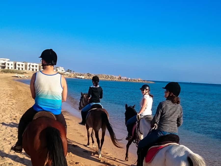 From Hurghada: Makadi Bay Horse Riding Tour - Horses, guides, and the pace of the experience