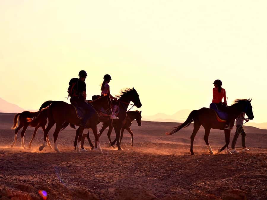 From Hurghada: Makadi Bay Horse Riding Tour - Why this Makadi Bay ride is worth considering