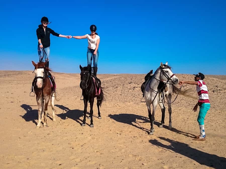 From Hurghada: Makadi Bay Horse Riding Tour - The standard two-hour route through desert and coast